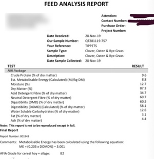 SHEDDED CLOVER / pasture hay