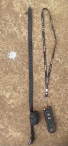 Dog Training Collar and Remote
