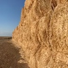 500mt Cereal Straw 650kg 8x4x4 Bales