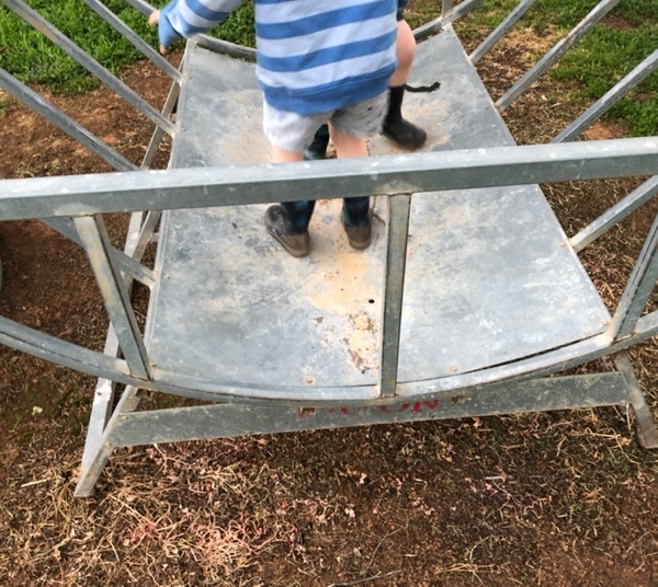 Paton Hay Cradle for sale