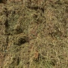 200mt New Season Vetch Hay 8x4x3 Bales (Top Quality)