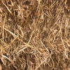 220mt Barley Straw 600kg 8x4x3 Bales