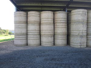 20 x Vetch/Pasture Hay 5x4 Rolls