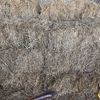 Pasture Hay Small Square Bales