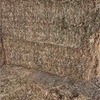 Oaten Hay 8x4x3 bales - Horse quality 