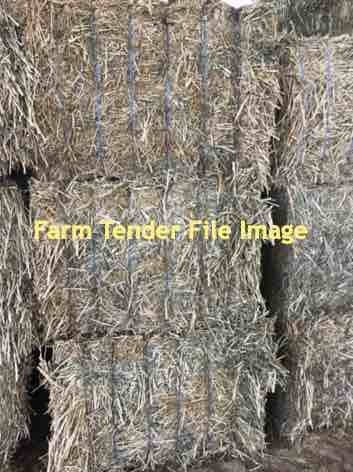 Canola Hay 8x4x4 Bales (Shedded)