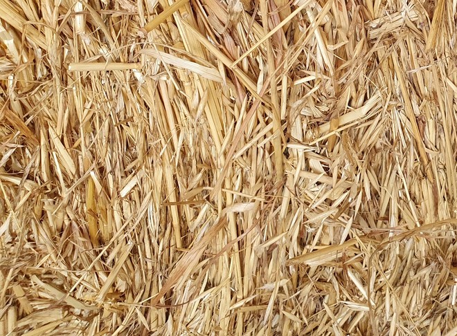 19/20 Season Oaten Hay (approx 500kg bale)