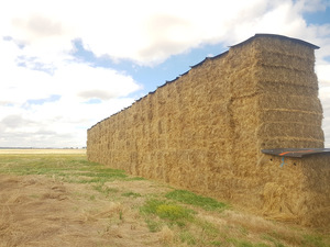 Ryegrass Hay 580kg 8x4x3 HD Bales