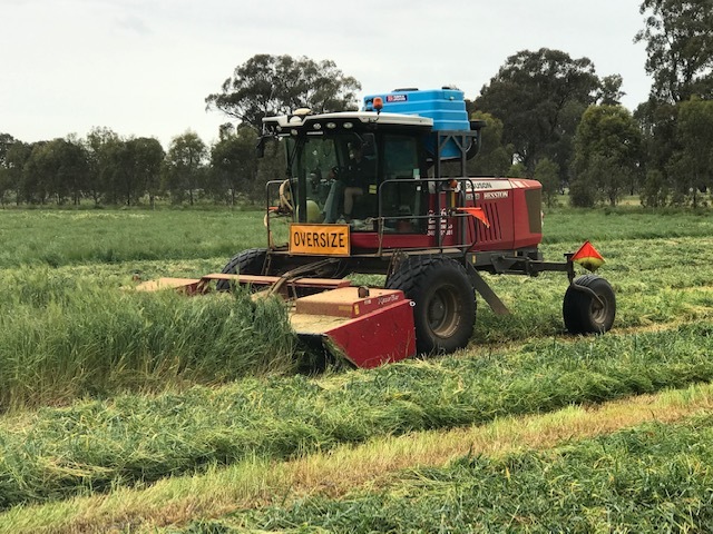 Vetch & Oaten Hay 8x4x3 Bales
