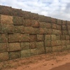 120mt Vetch Hay 650kg 8x4x3 Bales New Season