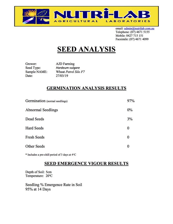 Sold Out for 2020 - Forage Wheat - Petrel Wheat Seed