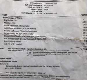 90 x Canola Silage 500kg 5x4 Bales