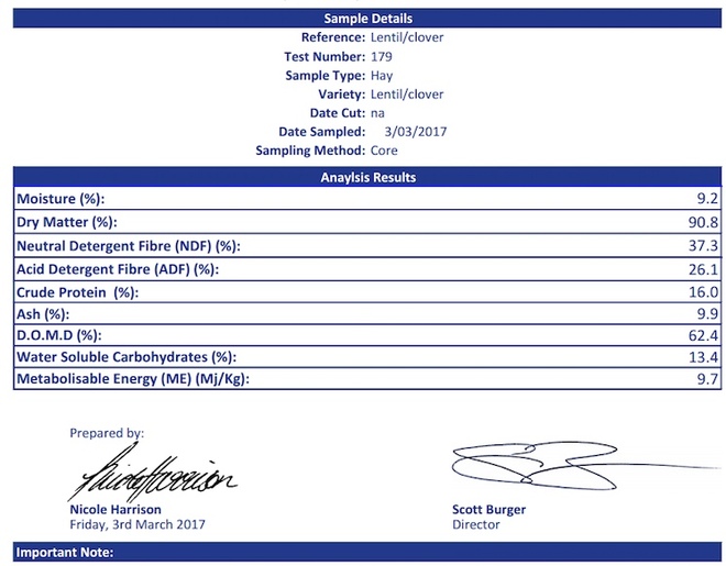 **Price Reduced** Clover / Lentil Hay For Sale in 8x4x3's - Shedded - See Feed Test