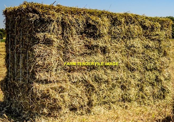 Sub Clover Hay Small Bales in Barron Packs