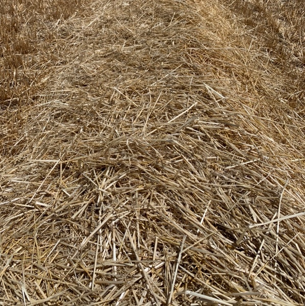 2019 Barley straw header tailings 8x4x3 