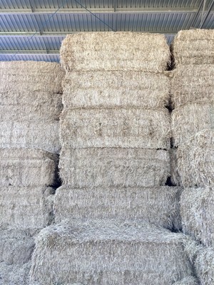 Wheat Hay 8x4x3