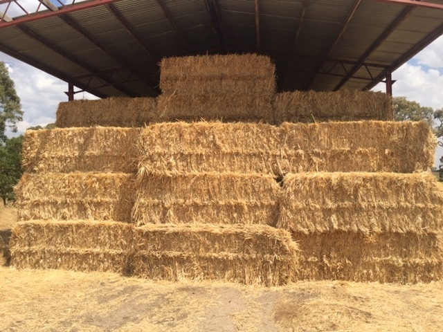 Oaten Hay