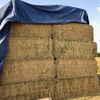 1st and 2nd cut Lucerne Hay for sale