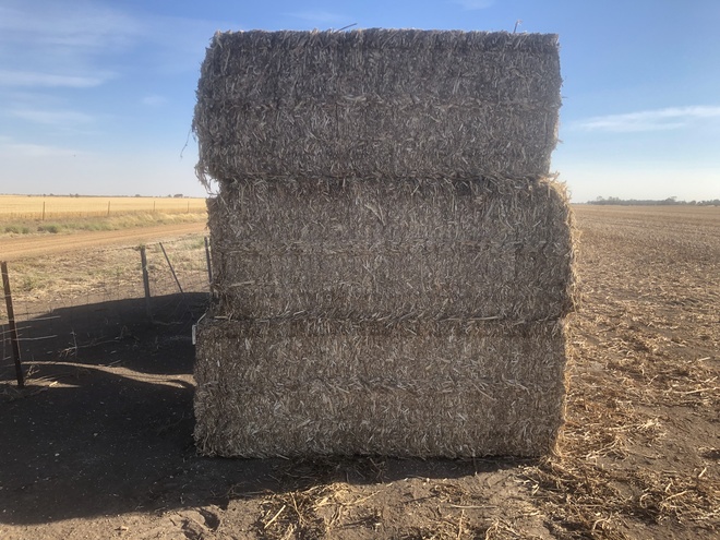 8x4x3 Bales of Faba Bean Straw 