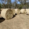 42 x Oaten Rye 5x4 Round Bales