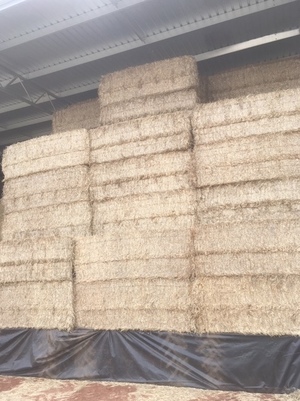 2 x Single Loads of Barley Straw 8x4x3 Bales