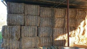 133 Oaten Hay 8x4x3 Bales