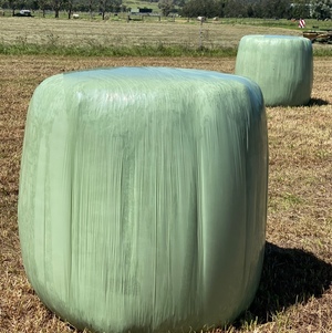 Hay round Bales