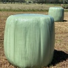 Hay round Bales