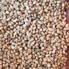 Millet seed for Sale graded and bagged or bulk