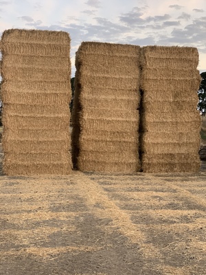 Wheaten straw $33 / bale