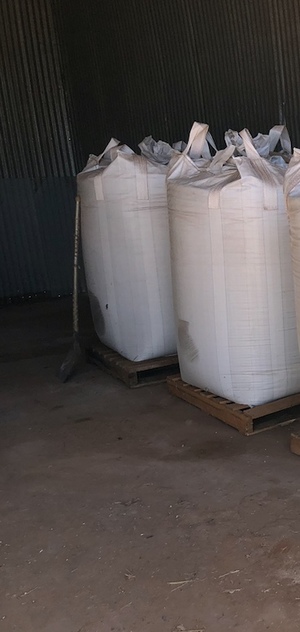 Lupin Seed x 2 Bulka Bags