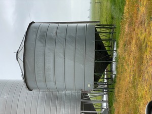 Grain Silo Boyd 50 tonne x 3