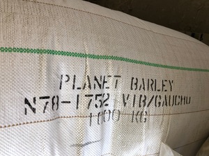 Planet Barley Seed - 2mt