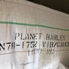 Planet Barley Seed - 2mt