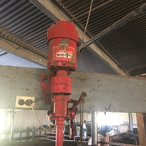 - NEW PRICE - Sunbeam Super-pro Shearing Plants