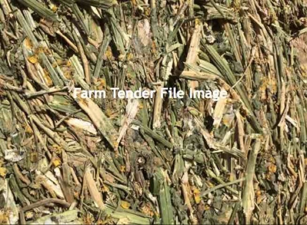 Canola Hay For Sale - Delivered