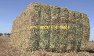 Canola Hay  200 Bales