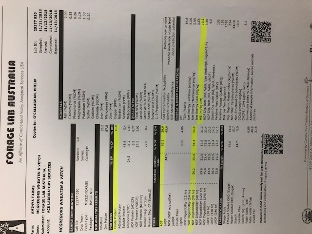 100mt Wheaten Hay 8x4x3 Bales + Freight