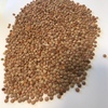 200/mt Feed Lentils For Sale