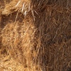 Wheaten Straw 8x4x3