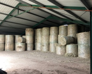 102 x 4x4 sudan sudan sorghum bales 