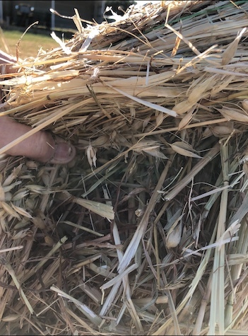 220 x Oaten Hay 5x4 Bales