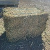 Compress Lucerne Squares