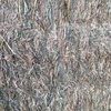 2 x B-Double Loads of  Barley Hay