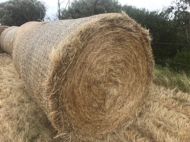 20 x hay rounds