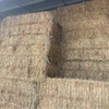 49 x Oaten Hay 8x4x3 Bales (New Season)