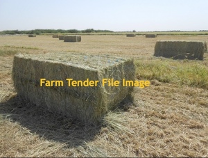 Rhodes Grass Hay 8x4x3 Bales