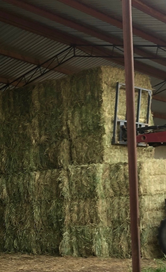 200mt Wheaten Hay 620kg+ 8x4x3 Bales