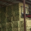 200mt Wheaten Hay 620kg+ 8x4x3 Bales
