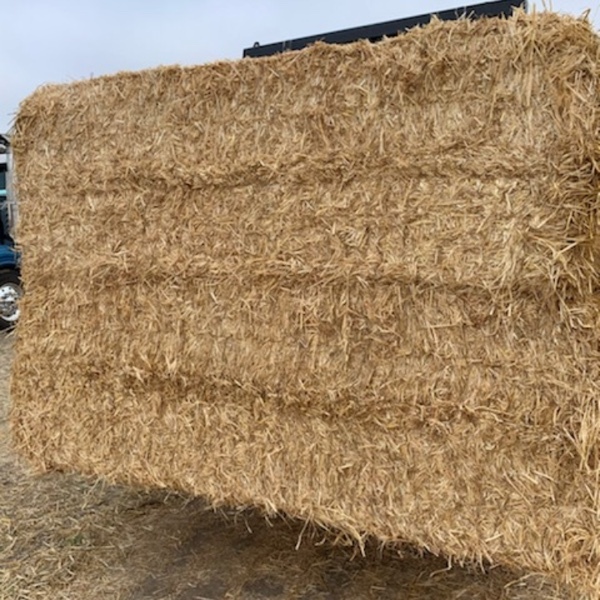 400mt Barley Straw 8x4x3 Bales (Header Tails)